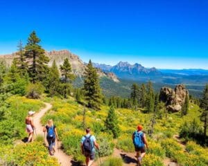 Abenteuer und Natur in Flagstaff, Arizona