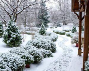 Garten im Winter: So bleibt er schön