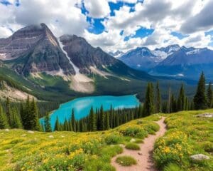 Natur und Parks in Jasper, Kanada