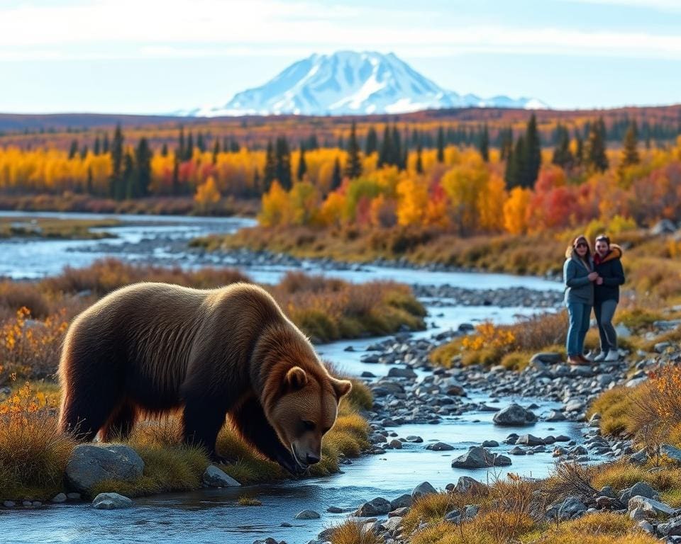 Tierbeobachtungen im Denali-Nationalpark