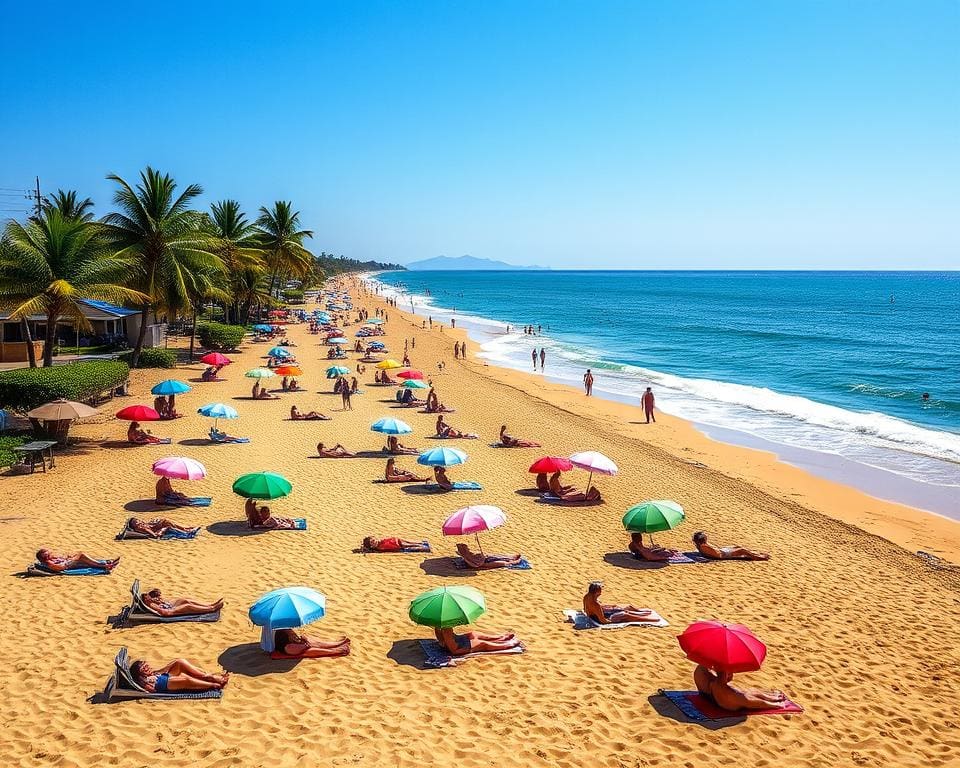 Sonnenanbeter am Strand