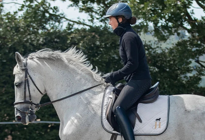 Warum ist pferdegerechte Dressurausbildung langfristig erfolgreich?